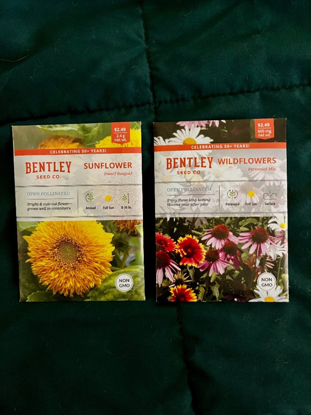 GARDENING SEEDS | Sungold Sunflower | Perennial Wildflower Mix